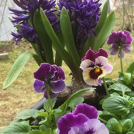 Casino Islands Getaway *